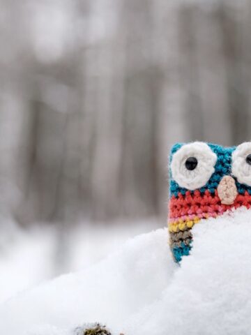 A crocheted owl with blue, red, and yellow stripes is partially buried in a snowbank. The background features a blurred snowy forest, creating a serene winter scene.