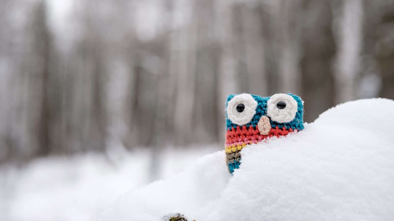 A crocheted owl with blue, red, and yellow stripes is partially buried in a snowbank. The background features a blurred snowy forest, creating a serene winter scene.