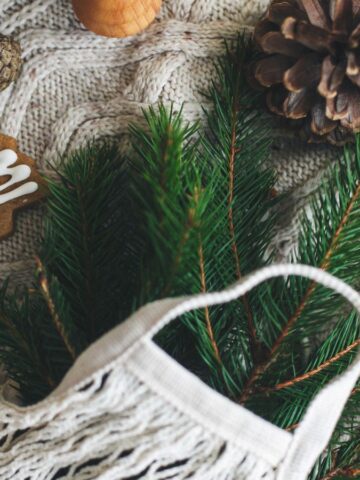A knitted fabric background displays decorated gingerbread cookies shaped like a star, tree, and bauble. Pine branches and pinecones are also present, with a white string bag partially covering the scene.