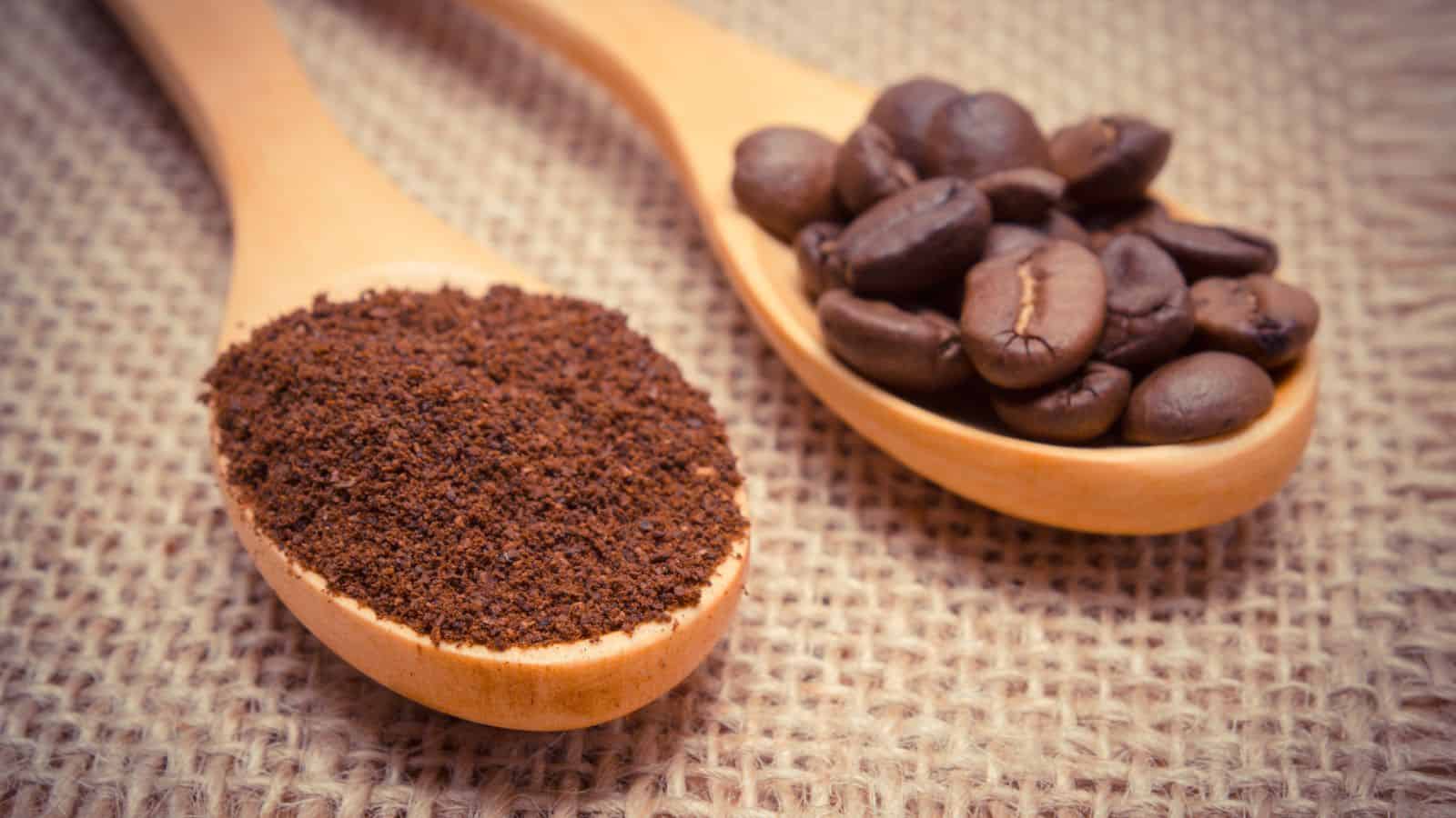 Two wooden spoons on a burlap surface; one contains ground coffee, and the other holds whole coffee beans.