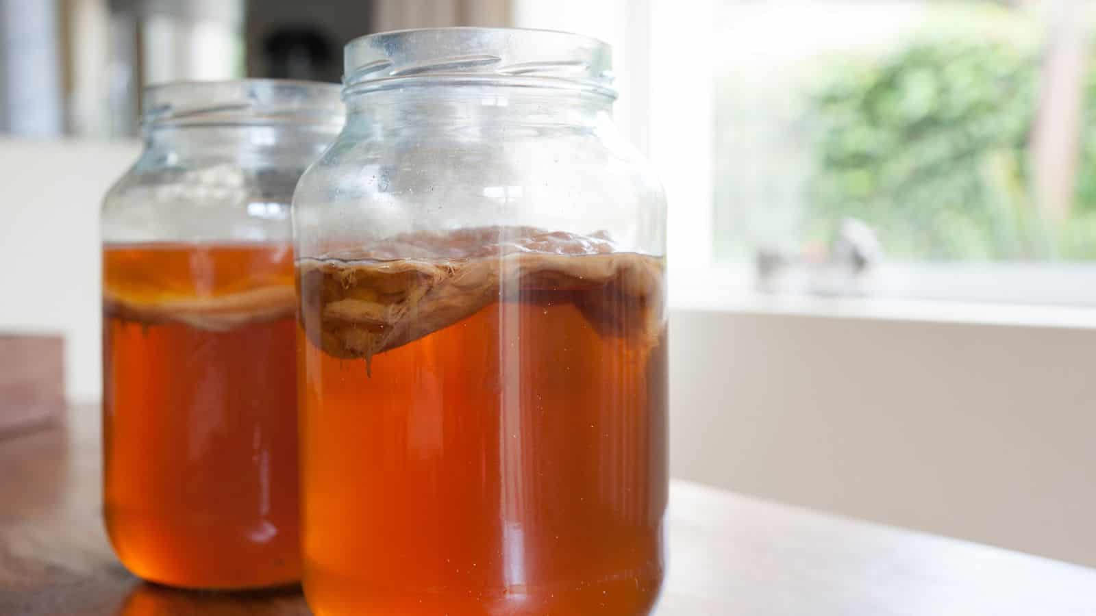 Two glass jars filled with amber-colored liquid sit on a wooden surface. The jars contain SCOBYs, floating at the top, indicative of kombucha brewing. A blurred window and greenery are visible in the background.