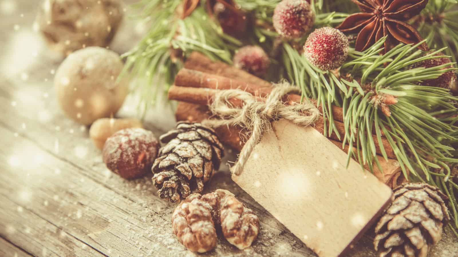A rustic holiday-themed scene features a wooden surface with pinecones, walnuts, and cinnamon sticks. A blank brown paper tag tied with twine rests in front. Green pine branches with red berries and star anise are visible in the background. Snowflakes are gently falling.