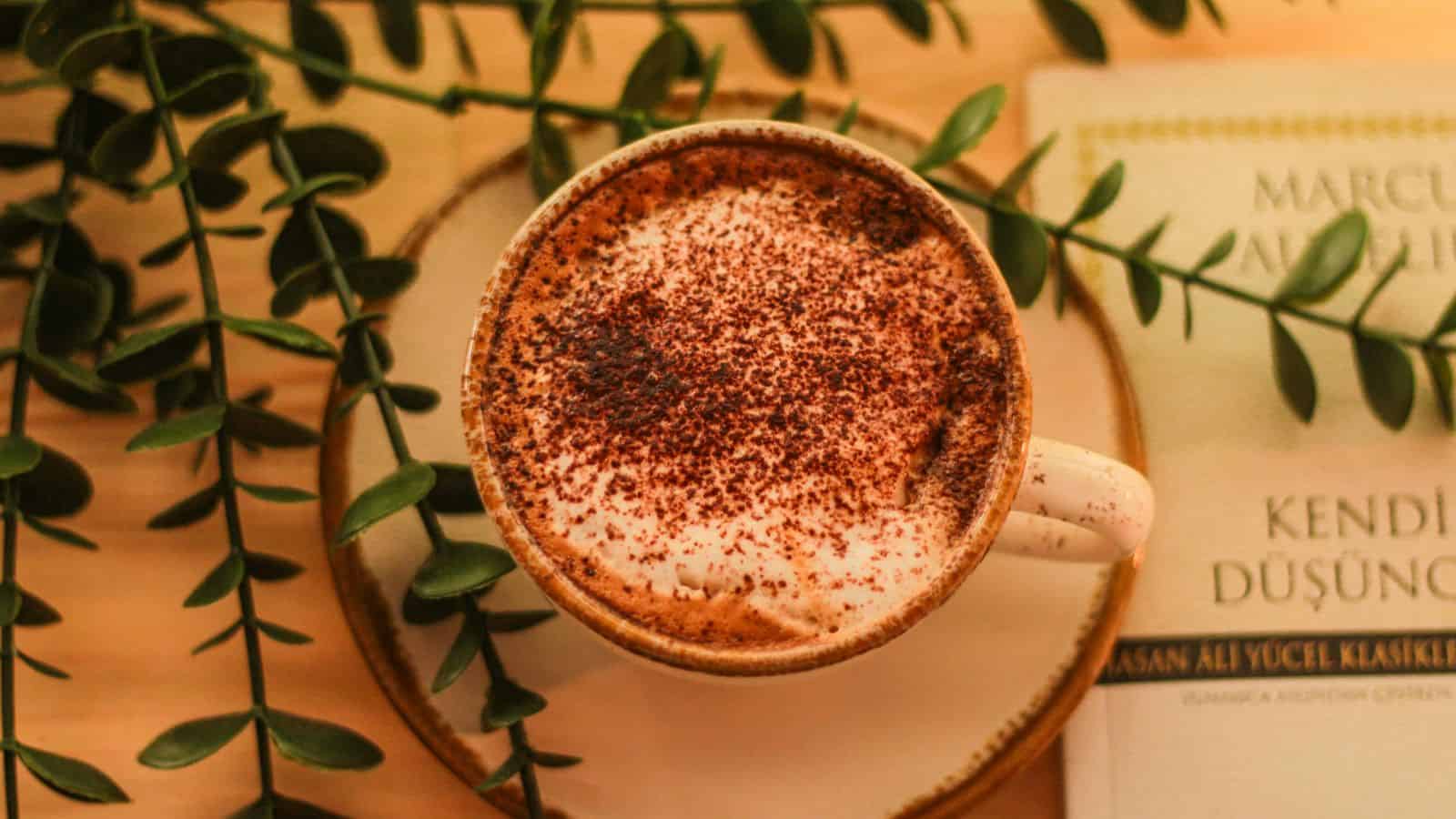 An overhead image of a cup of coffee with cinnamon dolce powder topping.