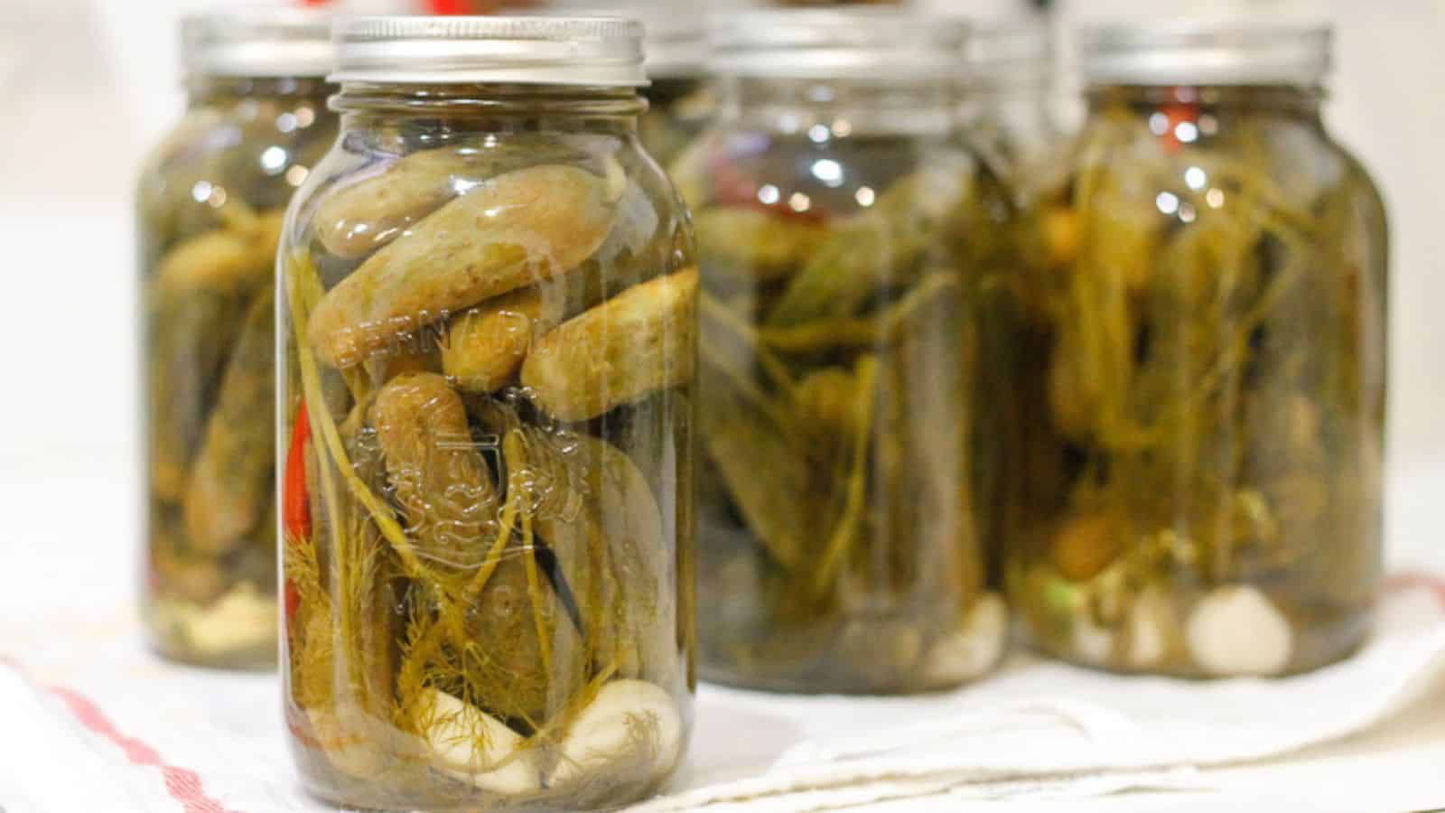 Jars of homemade pickles filled with cucumbers, dill, and garlic are arranged on a counter with a white cloth. The jars have metal lids and vary slightly in size and content arrangement.