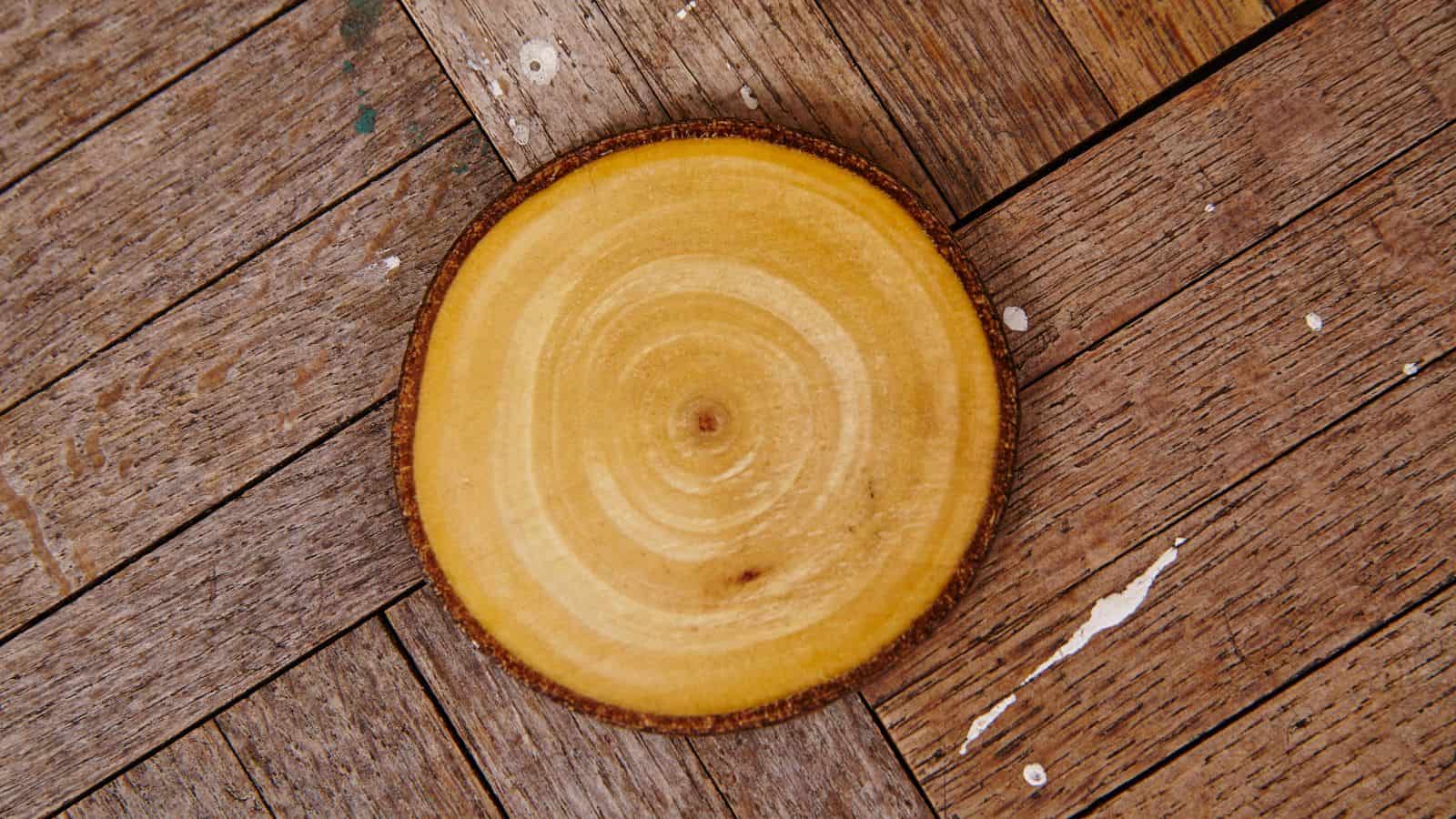 A circular wooden coaster with visible tree rings rests on a wooden herringbone-patterned surface. The coaster's edges are bark, contrasting with the lighter, smooth surface of the rings. Peeling paint is visible on the background.