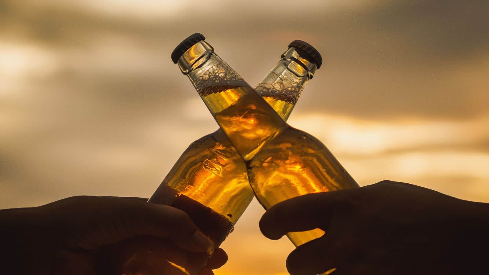 Two hands clinking together two brown beer bottles against a blurred sunset background, creating a toast-like gesture. The bottles are half full and backlit, highlighting the amber color of the liquid inside.