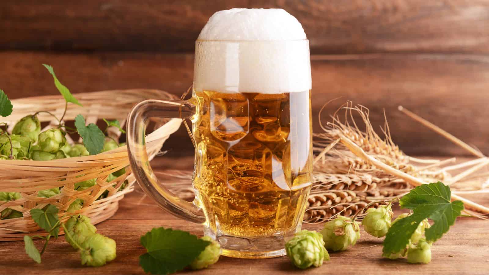A clear glass mug filled with frothy beer is placed on a wooden surface. Nearby, a basket with green hops and stalks of wheat are scattered alongside hops leaves, creating a rustic setting.