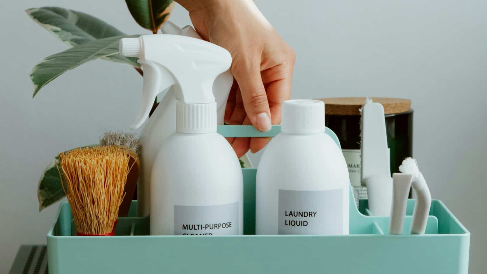 A hand is holding a basket containing various cleaning supplies, including a multi-purpose cleaner spray, a laundry liquid bottle, a scrub brush, and two cleaning brushes. A plant with large leaves is in the background.