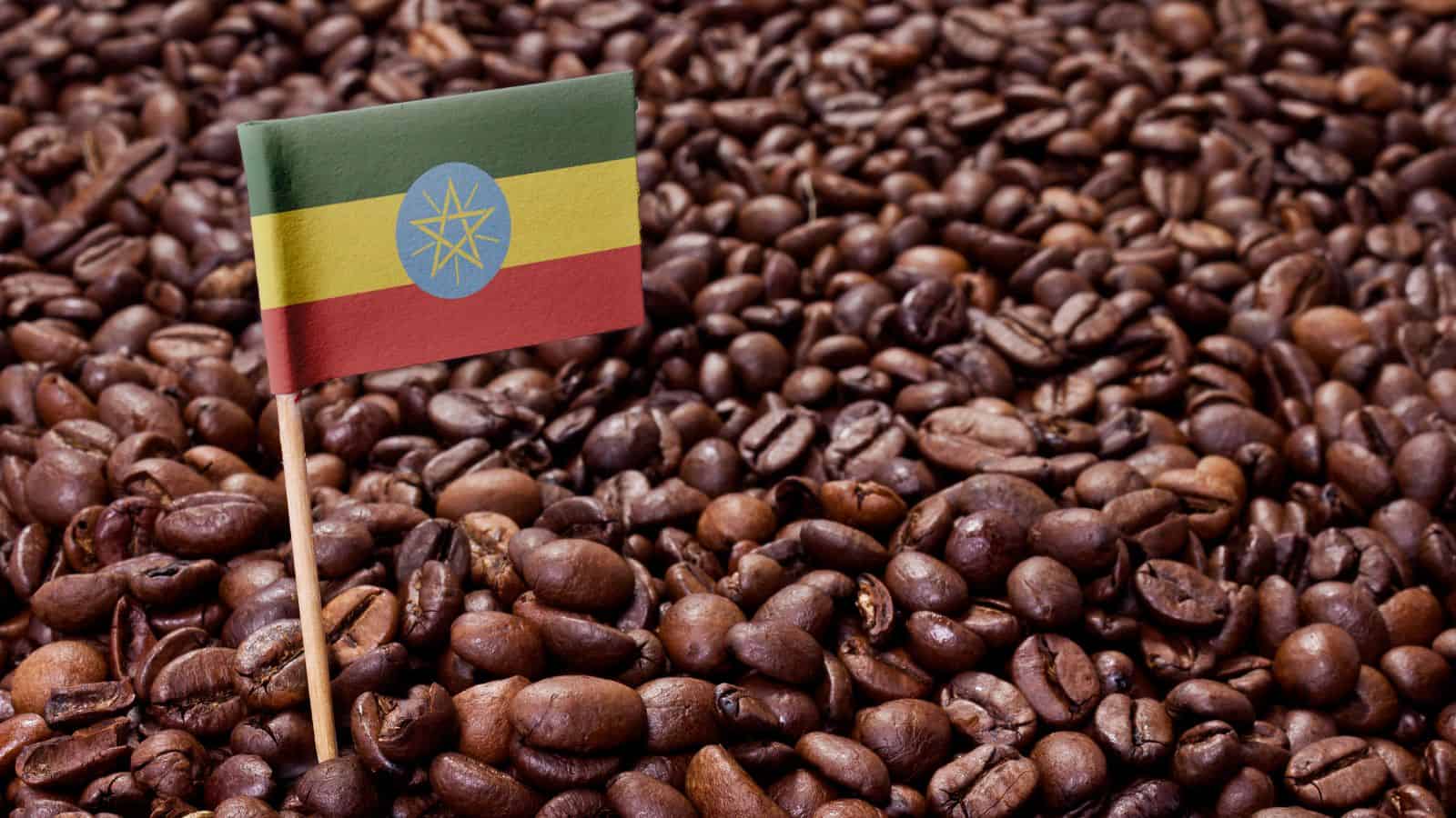A small Ethiopian flag on a toothpick is placed among a large pile of roasted coffee beans.