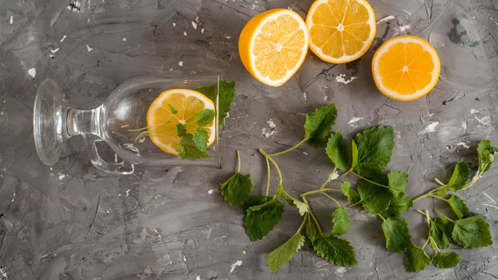 A tipped glass with lemon slices and mint leaves on a textured gray surface. Nearby are halved lemons and scattered mint sprigs.