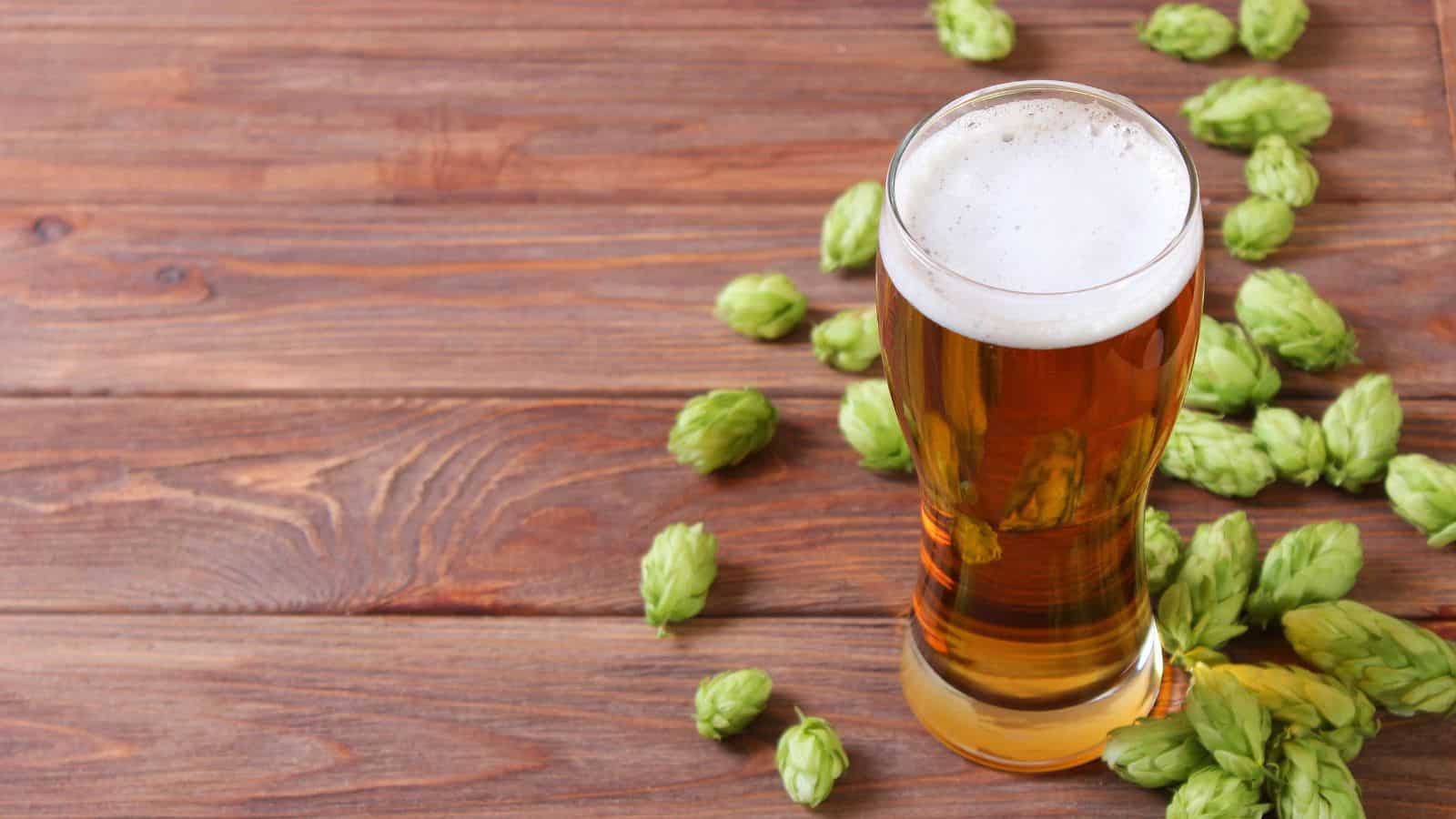 A tall glass of amber-colored beer with a frothy head stands on a wooden table. Green hops are scattered around the glass, showcasing ingredients used in brewing. The wood's texture adds a rustic feel to the scene.