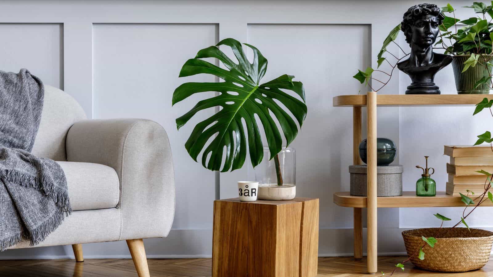 A modern living room features a beige sofa with a gray throw, a wooden side table with a large green leaf, and a shelving unit with decorative objects, books, and potted plants. The room has wood flooring and white paneled walls.