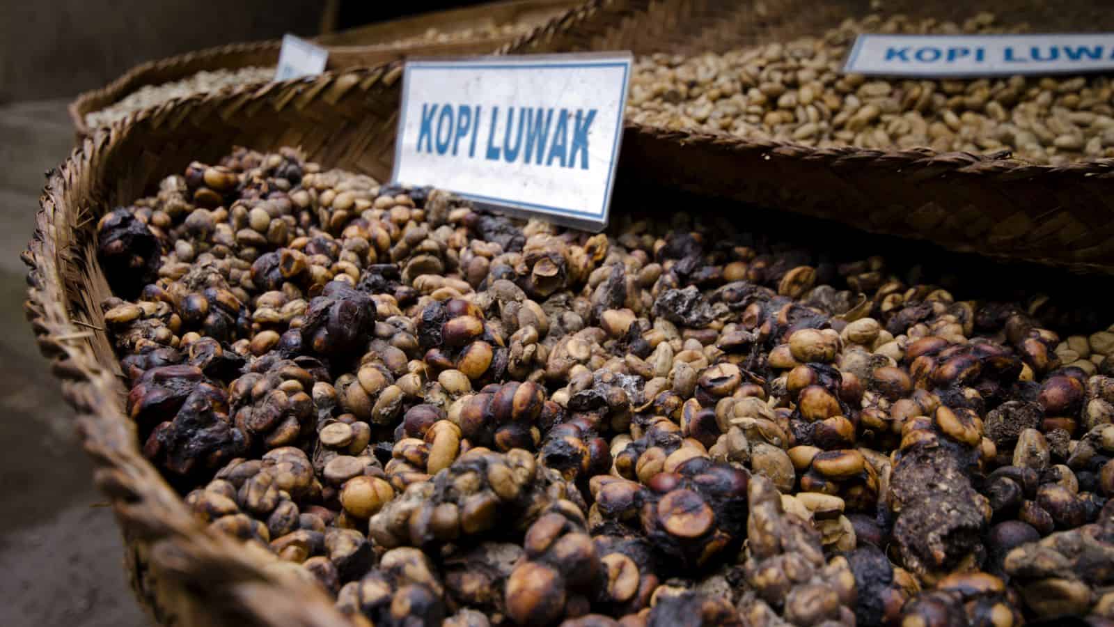 Close-up of baskets containing kopi luwak coffee beans. The foreground basket shows dark, irregularly shaped beans with a label reading "Kopi Luwak," while similar baskets are seen in the background.
