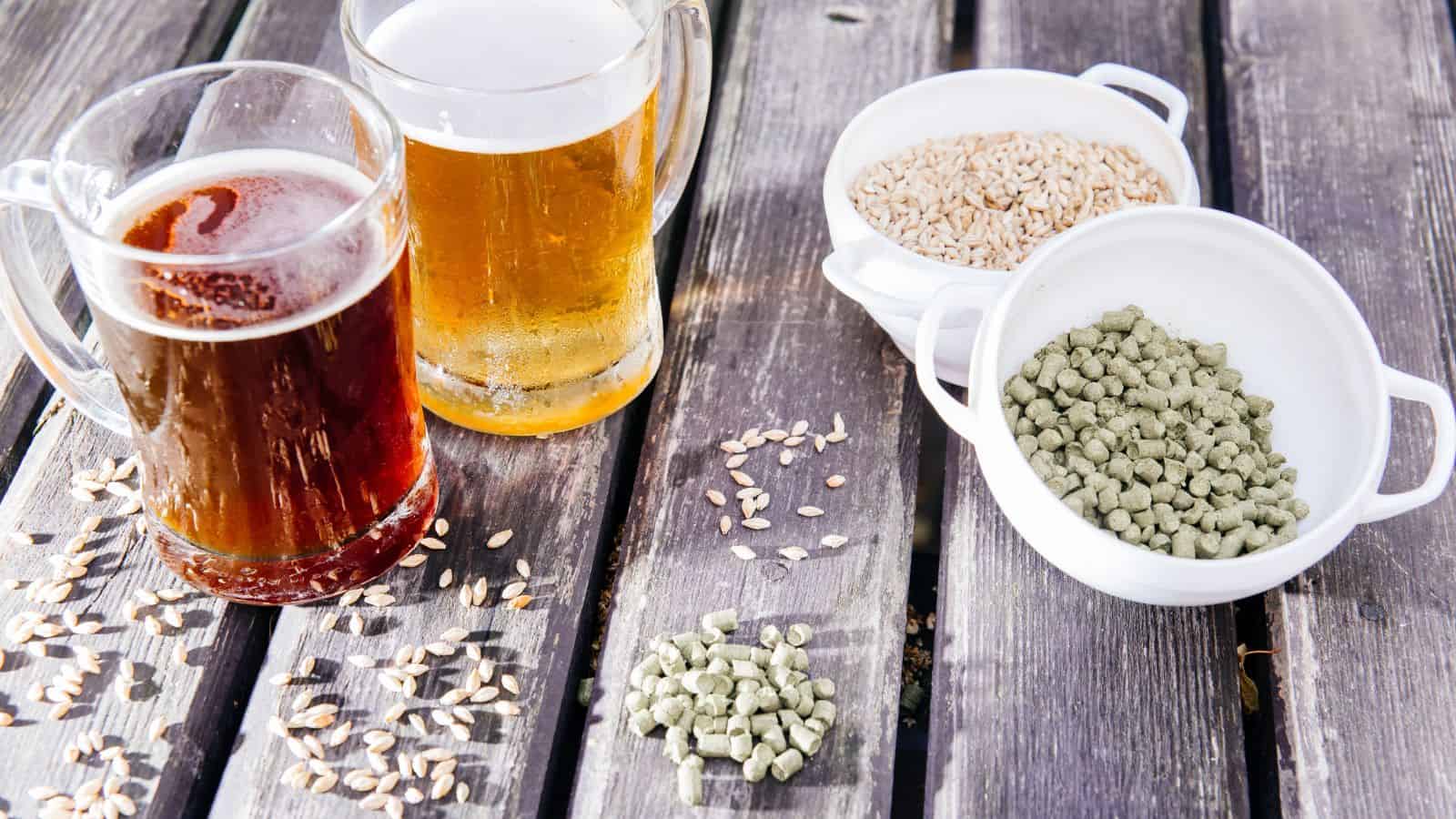 Two mugs of beer, one dark and one light, sit on a wooden table. Nearby are small white bowls containing barley grains and green hop pellets. Scattered grains are on the table.