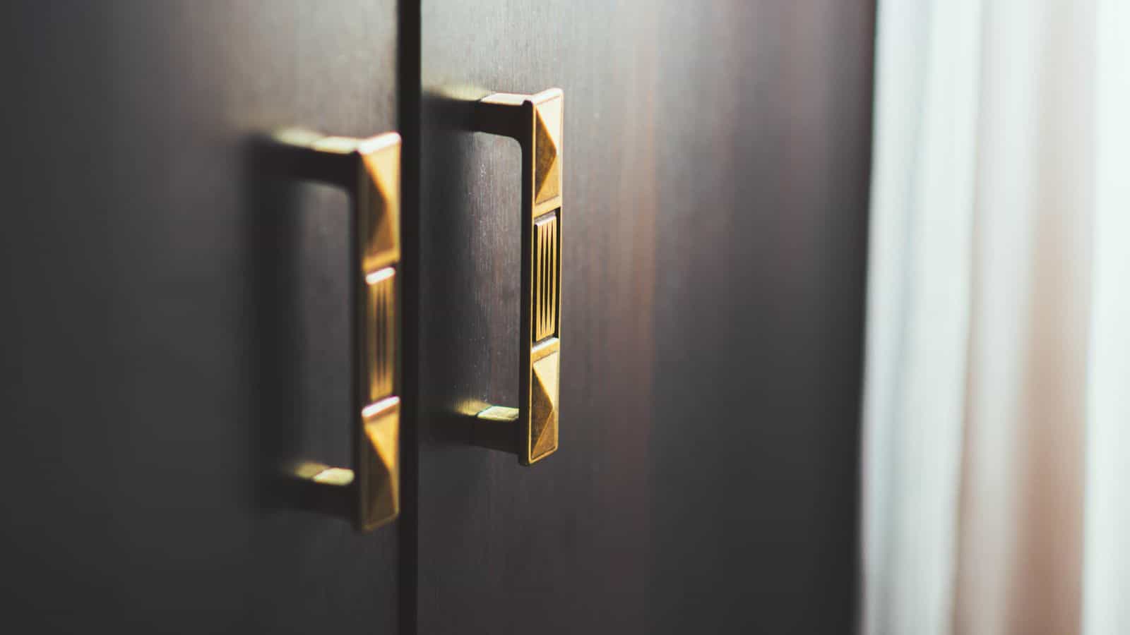 Close-up of two metallic handles on dark wooden cabinet doors.