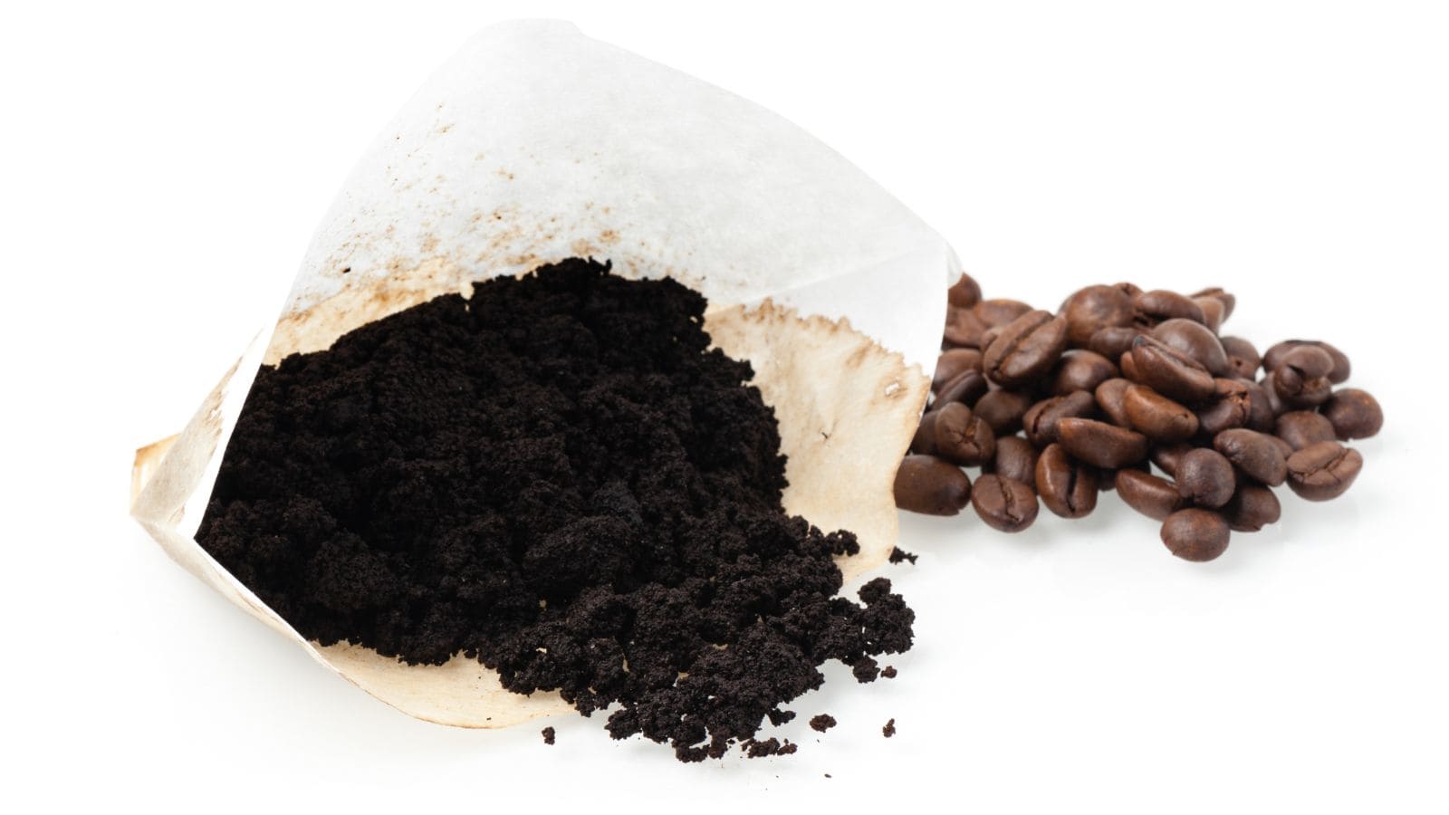 A used coffee filter bag with coffee grounds spilling out is on the left. A small pile of whole coffee beans is on the right. Both are set against a white background.