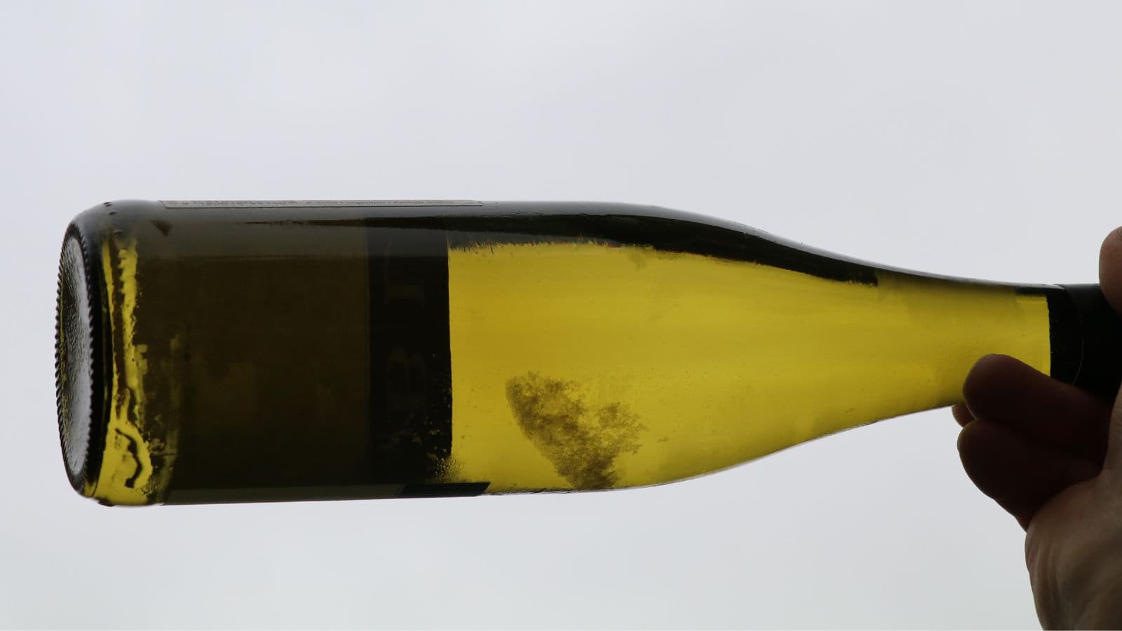 A person holds a wine bottle horizontally against a light background, showing sediment in the bottom. The bottle is greenish-yellow and partially filled with liquid.