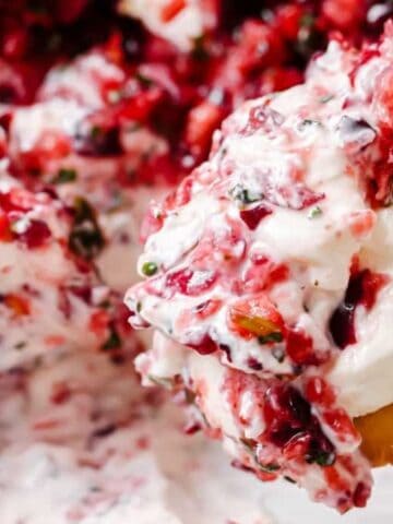 A hand holds a round cracker topped with a spread made from whipped white cream cheese mixed with chopped cranberries and herbs. The background shows a bowl filled with the same creamy mixture.