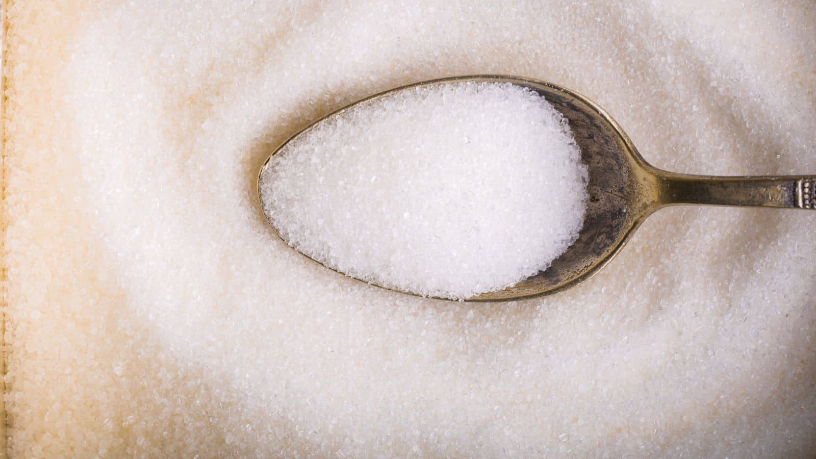A close-up image of a spoon resting on a pile of granulated white sugar. The spoon is filled with sugar, and its bowl is partially embedded in the surrounding sugar, creating a slight indentation. The background is filled with more granulated sugar.