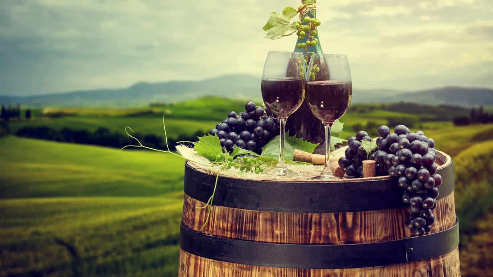 Two glasses of red wine sit on a wooden barrel, surrounded by clusters of dark grapes and corks. The background features a scenic view of rolling green hills under a cloudy sky.