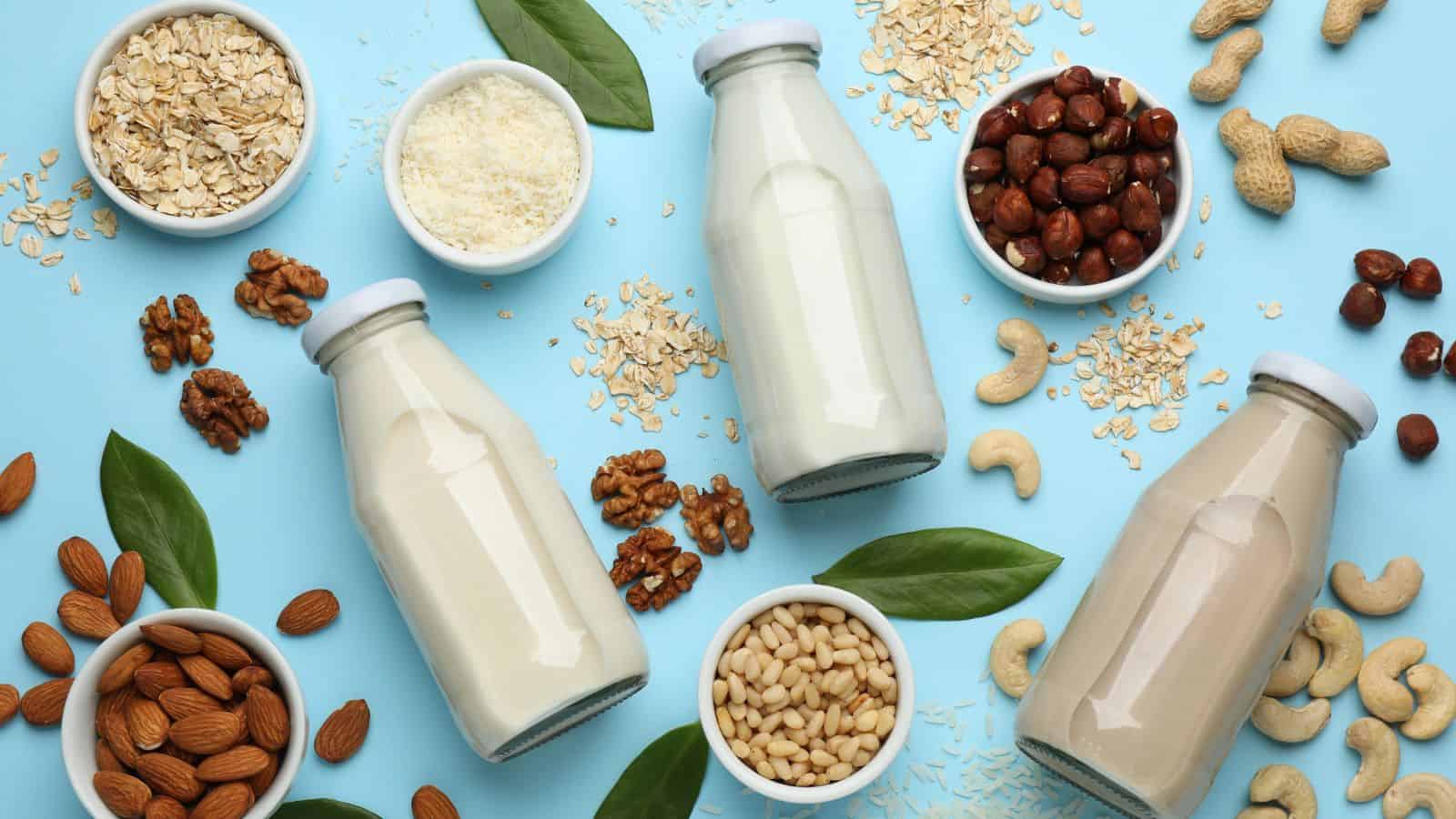 Three glass bottles filled with various plant-based milks are arranged on a light blue surface, surrounded by small bowls of almonds, pine nuts, and other nuts, alongside scattered oats and nuts. Green leaves are also placed around the scene.