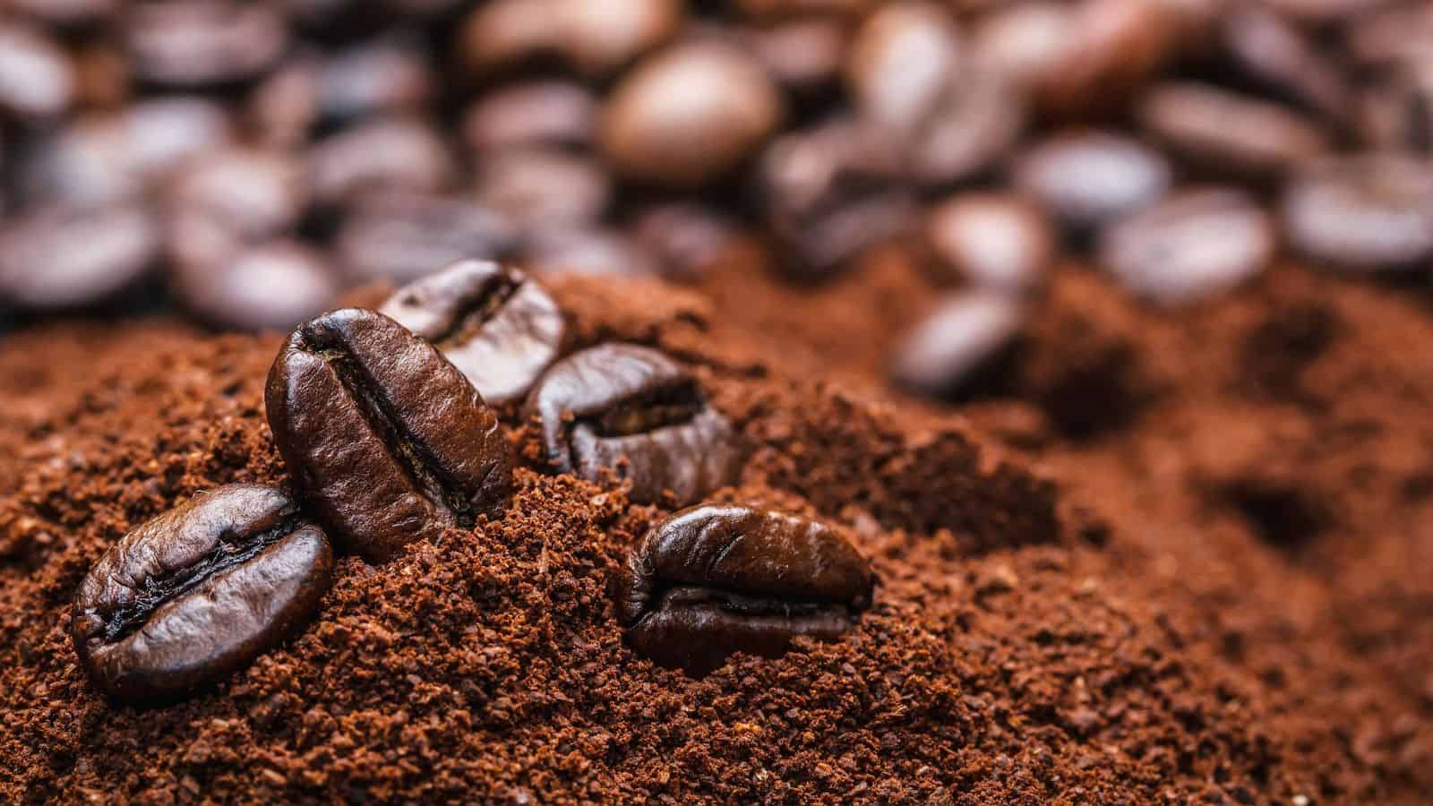 Close-up of roasted coffee beans resting on a pile of ground coffee. The image focuses on the texture of both the beans and grounds, with blurry coffee beans in the background. The scene suggests a rich and aromatic coffee preparation.
