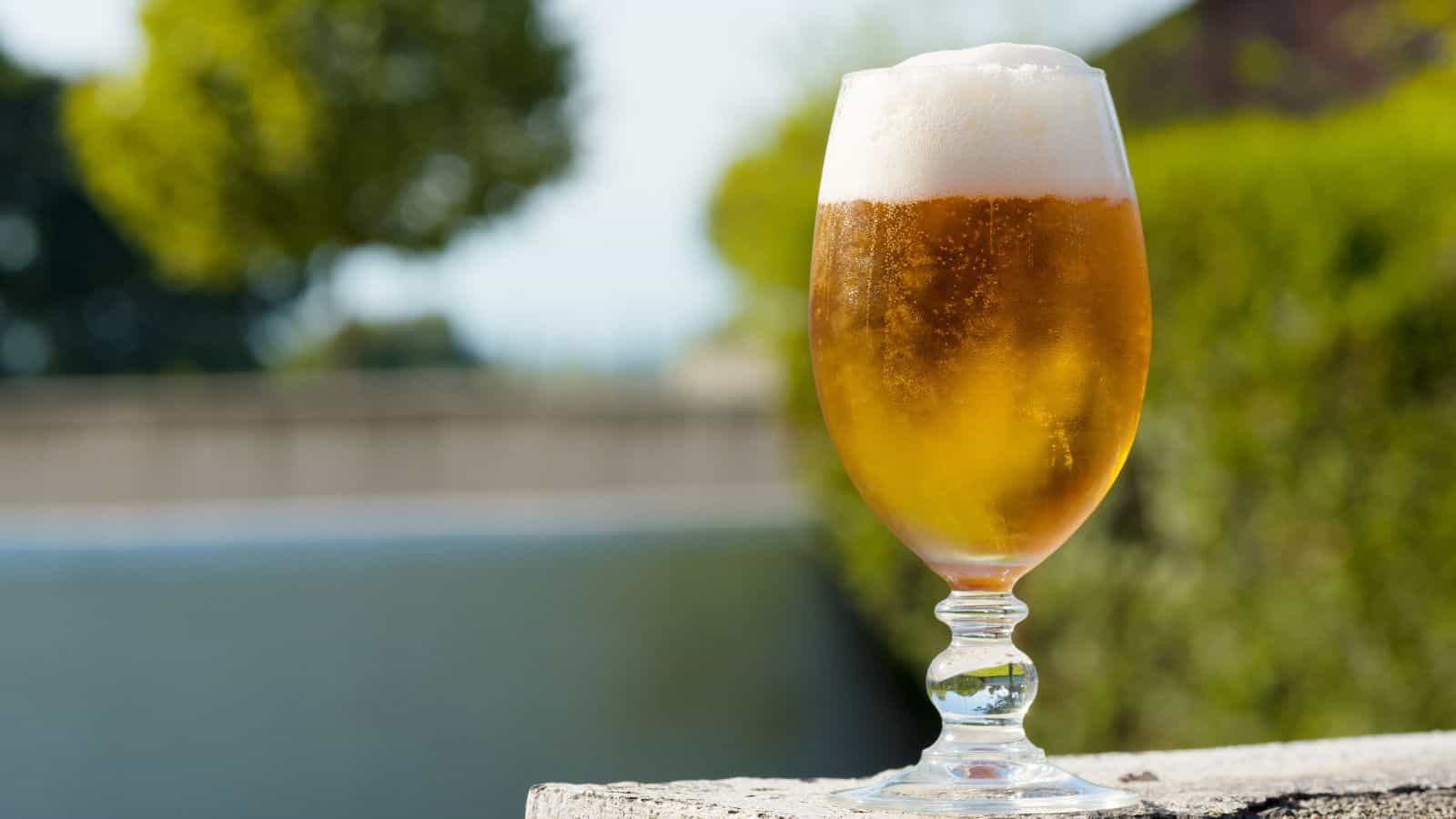 A glass of beer with a foamy head sits on a concrete surface outdoors. The background is blurred, showing green foliage and a tree, suggesting a bright, sunny day.