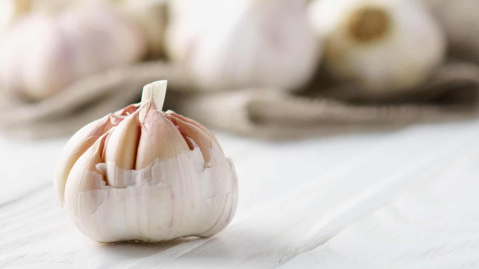 A close-up of a single bulb of garlic on a light wooden surface. The garlic is partially peeled, revealing cloves inside. In the blurred background, other garlic bulbs and a piece of beige fabric are visible.
