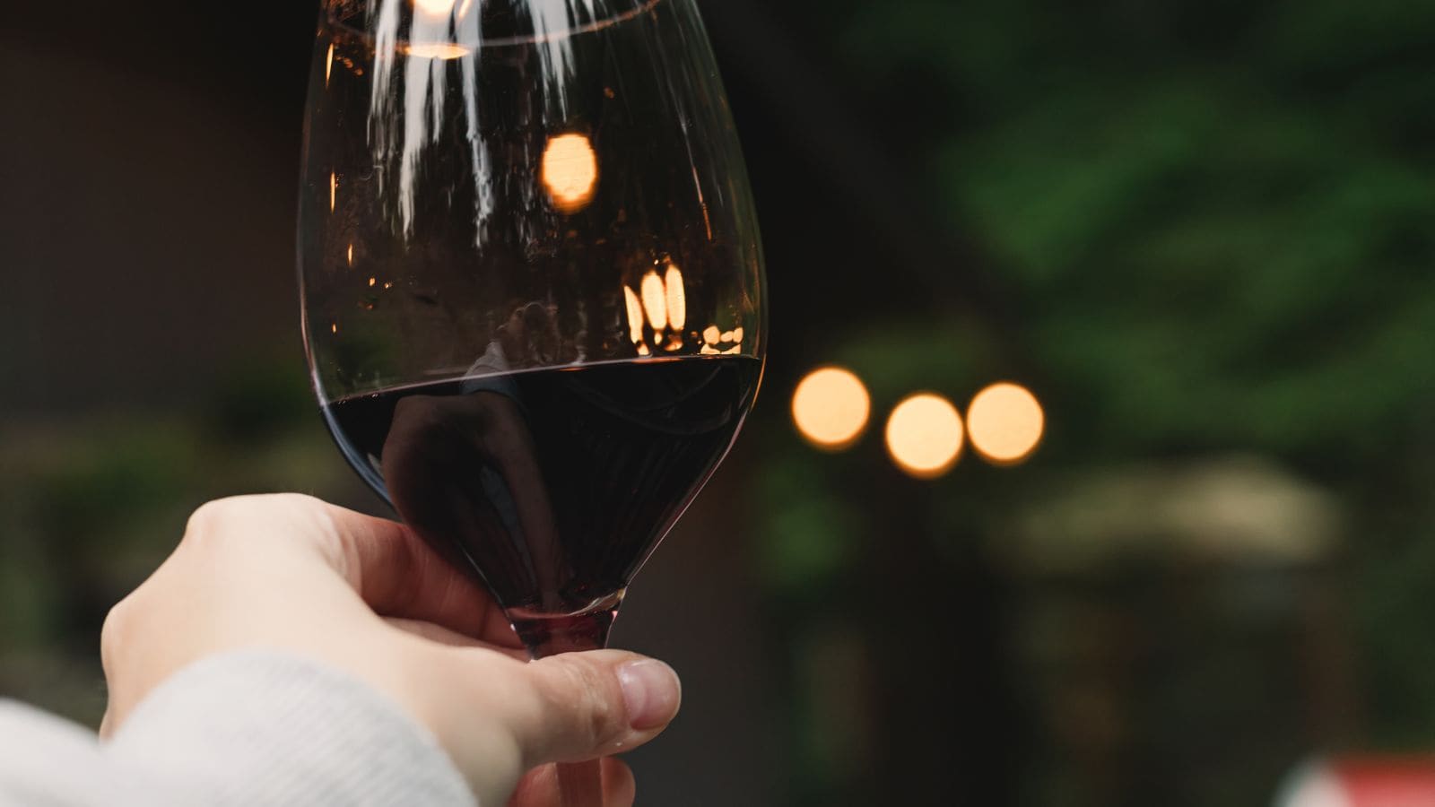 A hand holding a glass of red wine is raised in the foreground. The background is blurred, with warm, glowing lights and greenery visible. The scene suggests an outdoor setting, likely during dusk or evening.