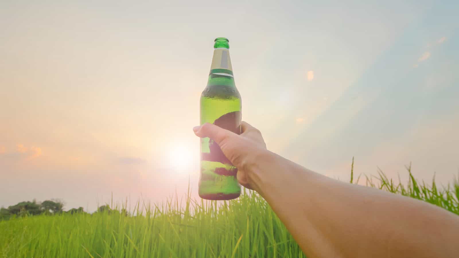 A person holds a green glass bottle up to the sky in a field of tall green grass. The sun is setting, creating a soft orange and yellow glow in the sky.