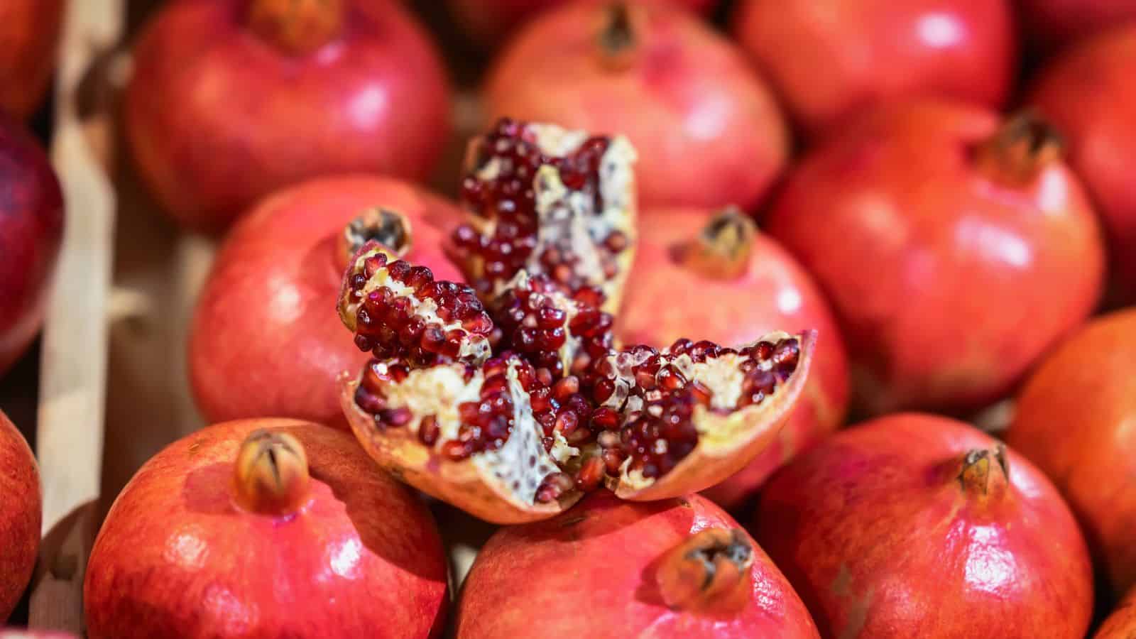 A group of whole pomegranates with one pomegranate in the center that is cut open, revealing the red seeds inside. The fruits are arranged closely together, emphasizing the contrast between the smooth skins and the textured interior of the cut one.