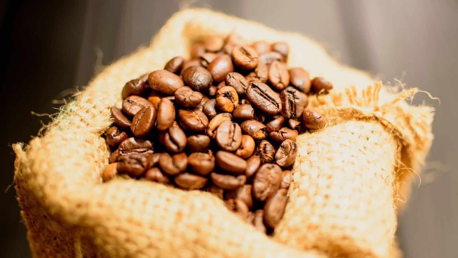 A close-up of coffee beans overflowing from a burlap sack. The beans are dark brown, textured, and shiny, suggesting freshness. The burlap sack is frayed at the edges, adding a rustic look. The background is softly blurred.