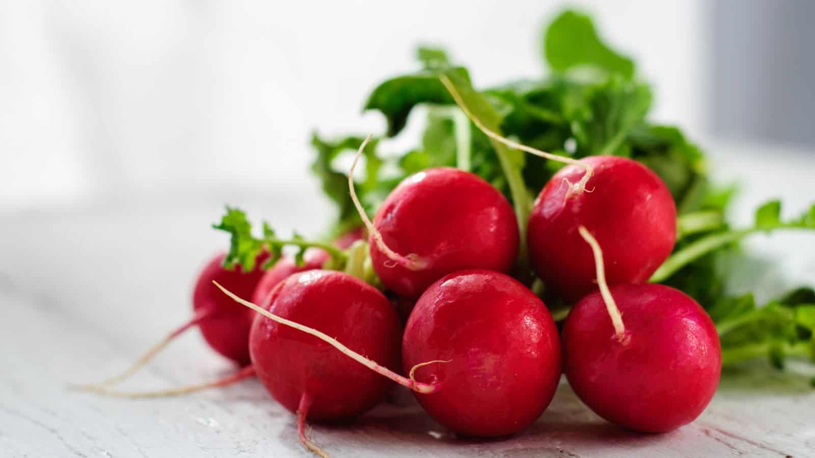 A bunch of fresh red radishes with roots and green leaves rests on a white surface. The radishes are shiny with water droplets, suggesting they have been recently rinsed. The background is softly blurred.