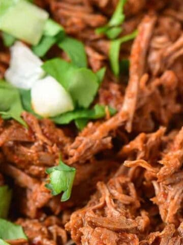 Close-up of shredded beef with a reddish-brown sauce, garnished with chopped cilantro and diced onions, with a fork lifting a portion.