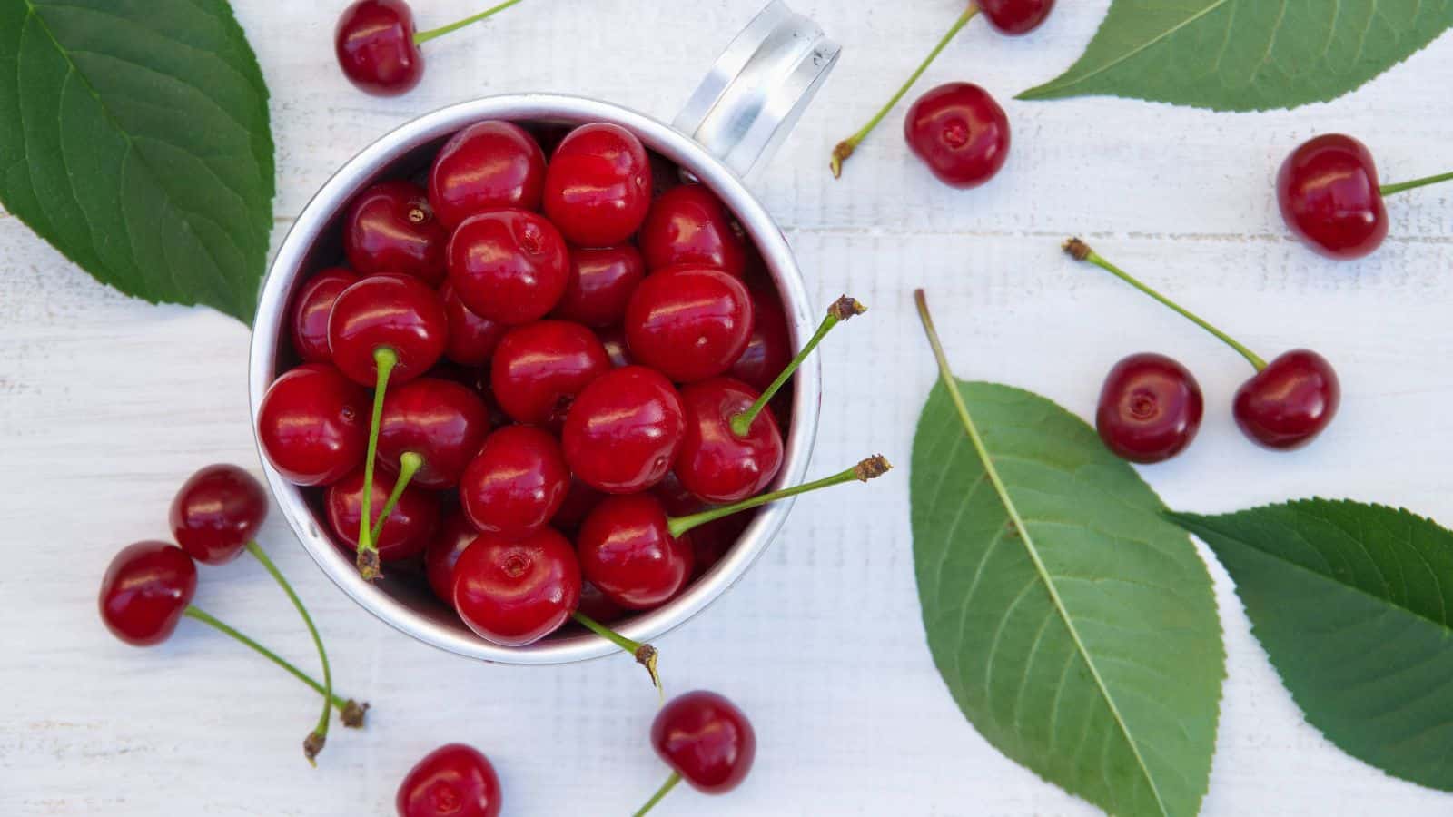 A metal cup filled with ripe red cherries sits on a white wooden surface. Several cherries and green leaves are scattered around the cup.