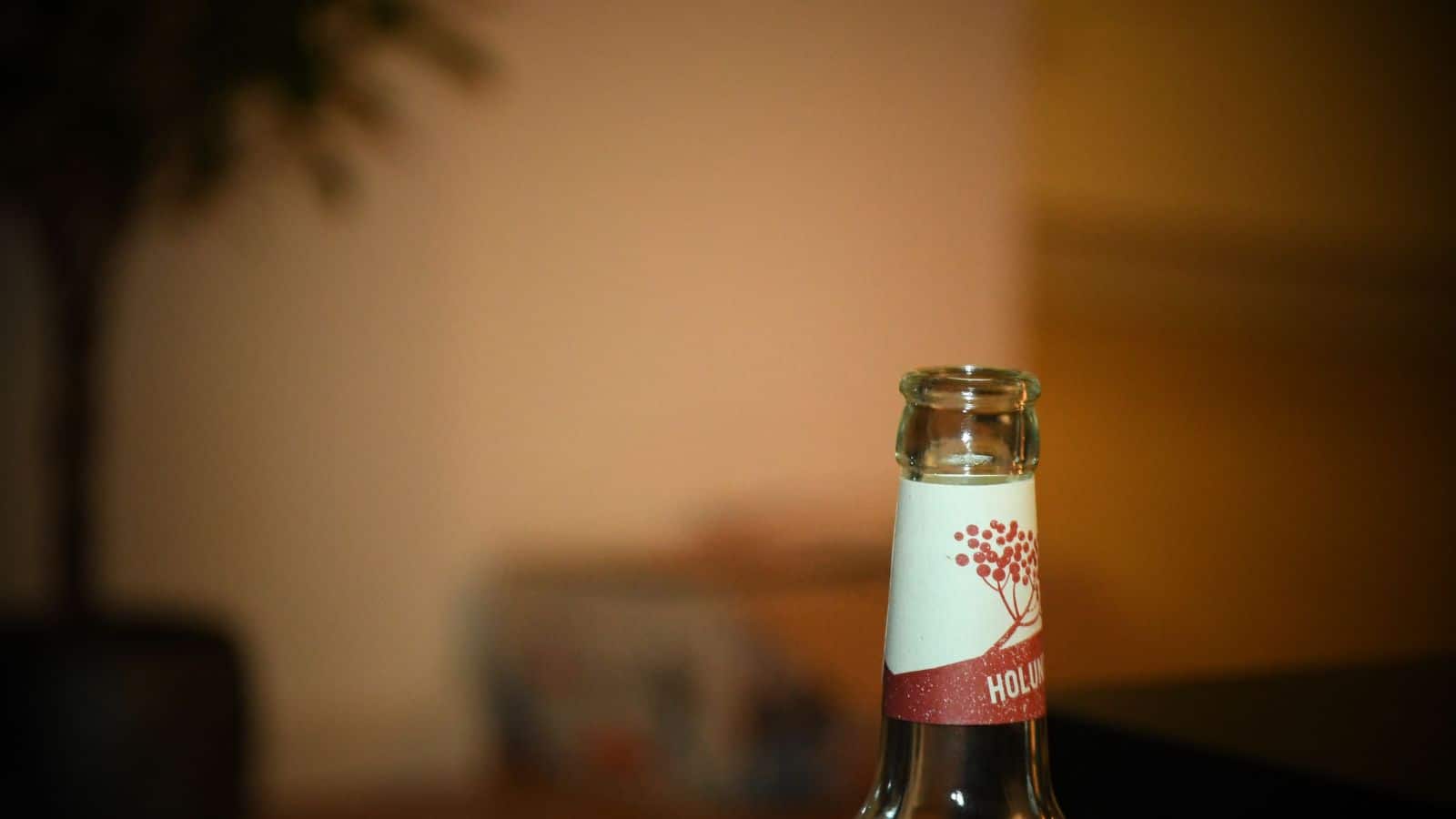 A close-up of the neck of a beer bottle without a cap, with a blurred background. The label shows a red tree graphic and the word "HOL" partially visible. A plant is slightly visible in the background.