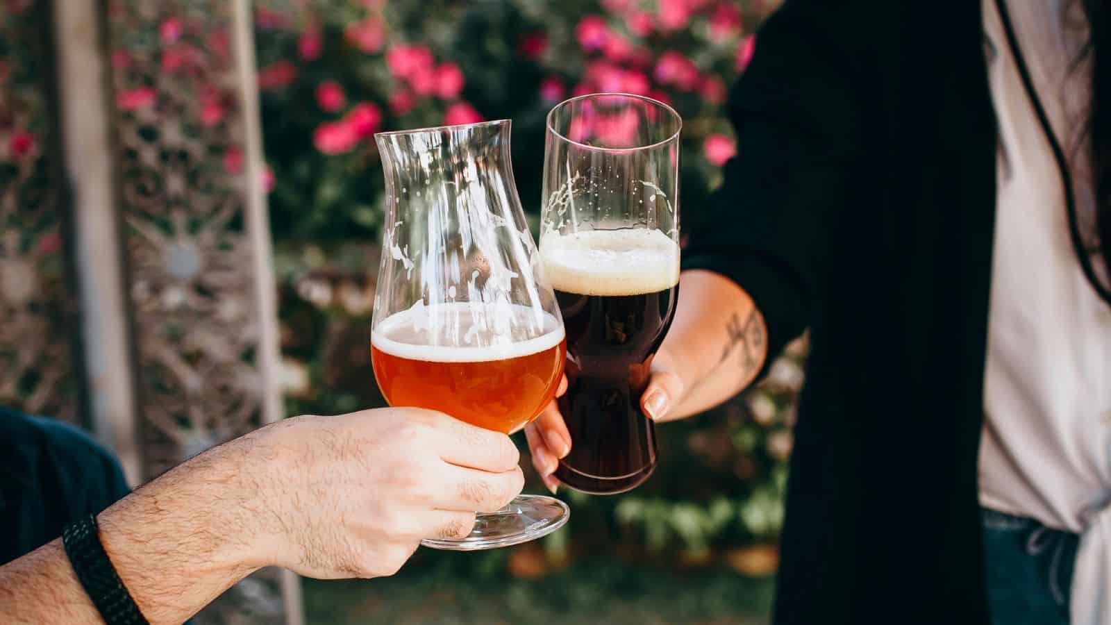Two people clinking glasses filled with amber and dark beer. They are outdoors with a blurred background of pink flowers and greenery. One person has a tattoo on their arm.