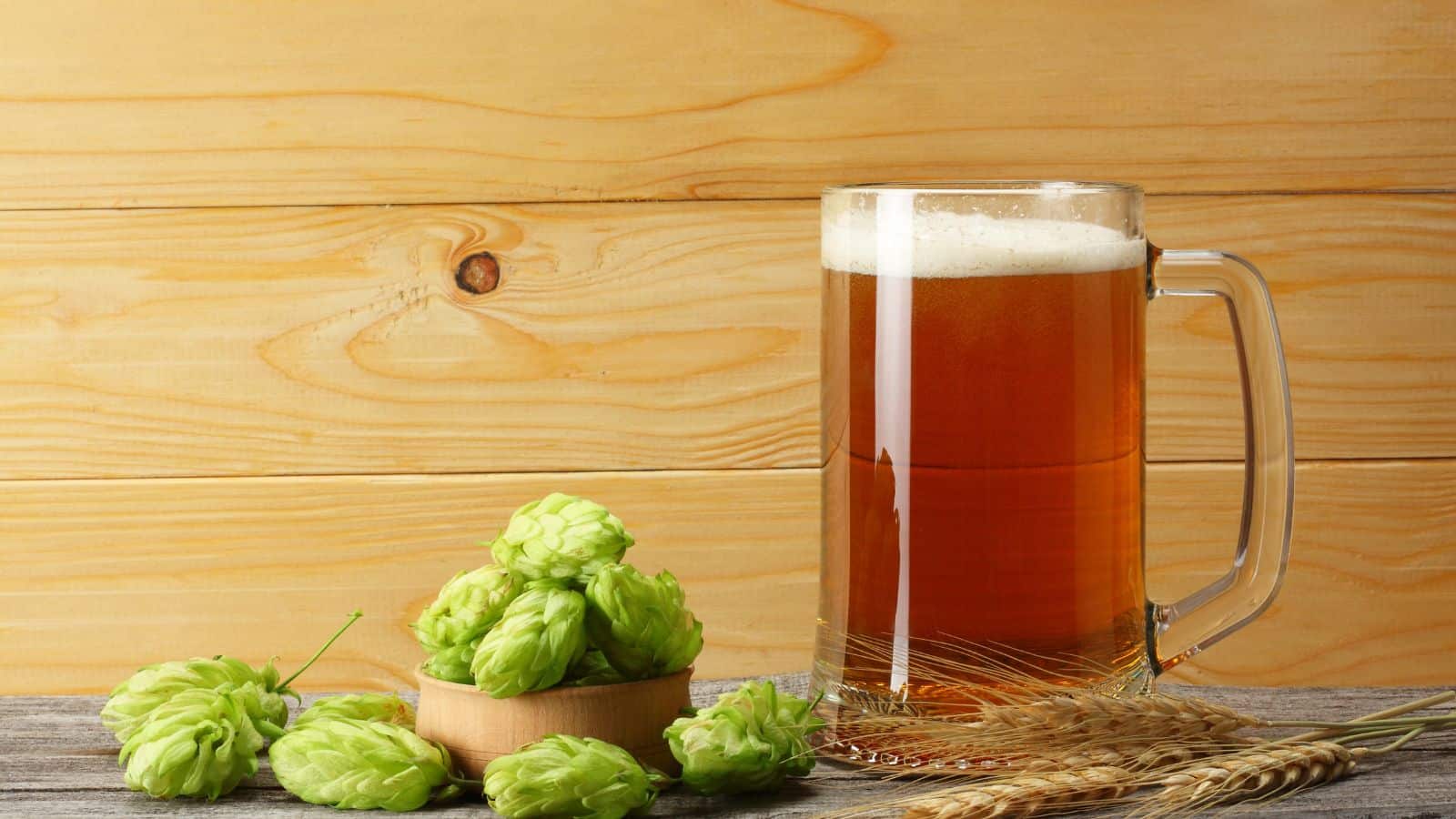 A mug of amber beer with a frothy head sits on a wooden table. Next to it, a small round dish holds green hops cones. There are also wheat stalks leaning on the table against a wooden backdrop.
