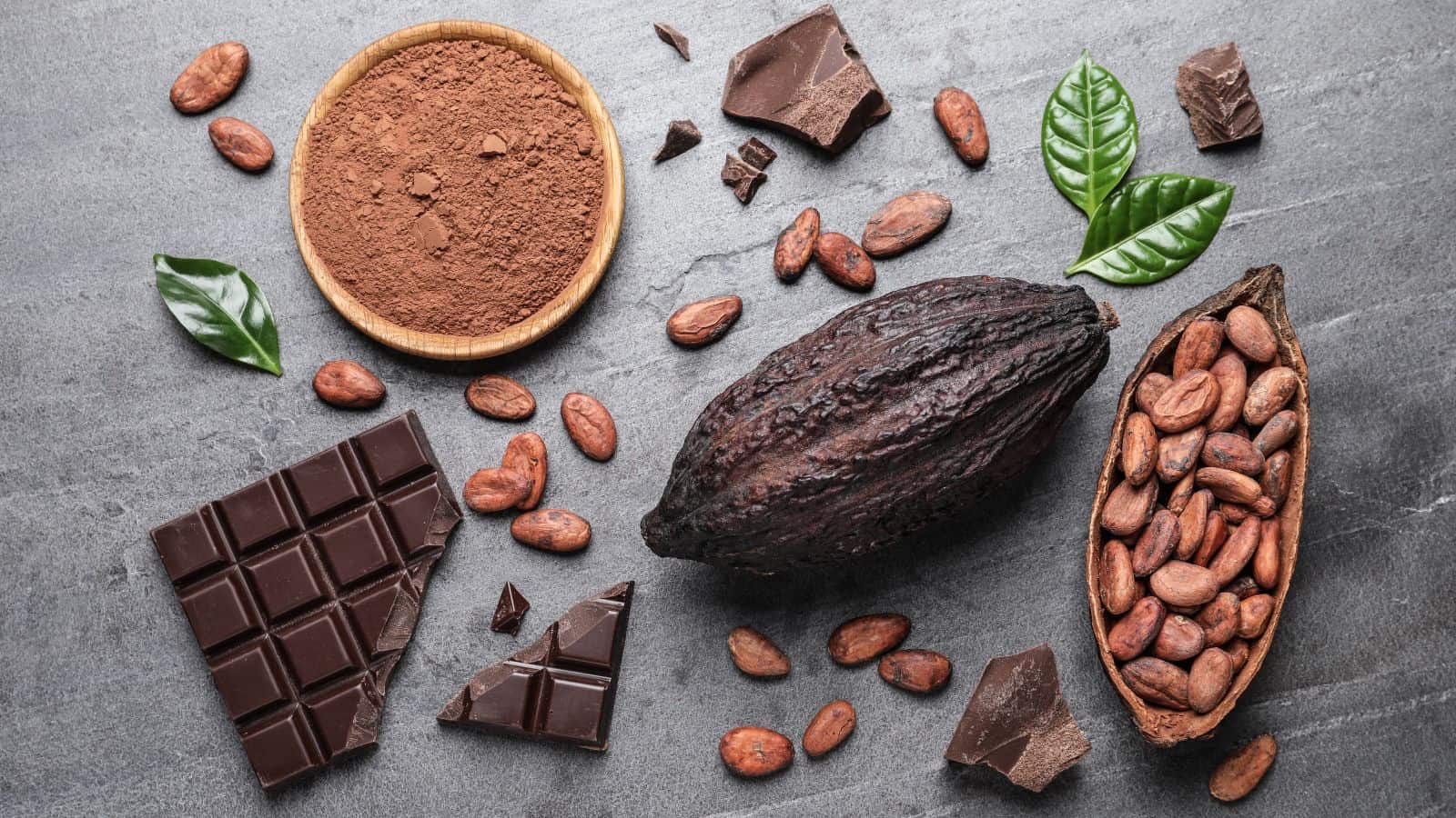 A whole cacao pod, cacao beans in a split pod, a bowl of cacao powder, chocolate bar pieces, chocolate chunks, and green leaves are arranged on a gray surface.