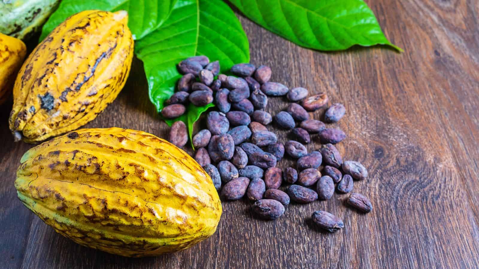 Two yellow cacao pods, a pile of dried cacao beans, and three large green leaves are arranged on a wooden surface.