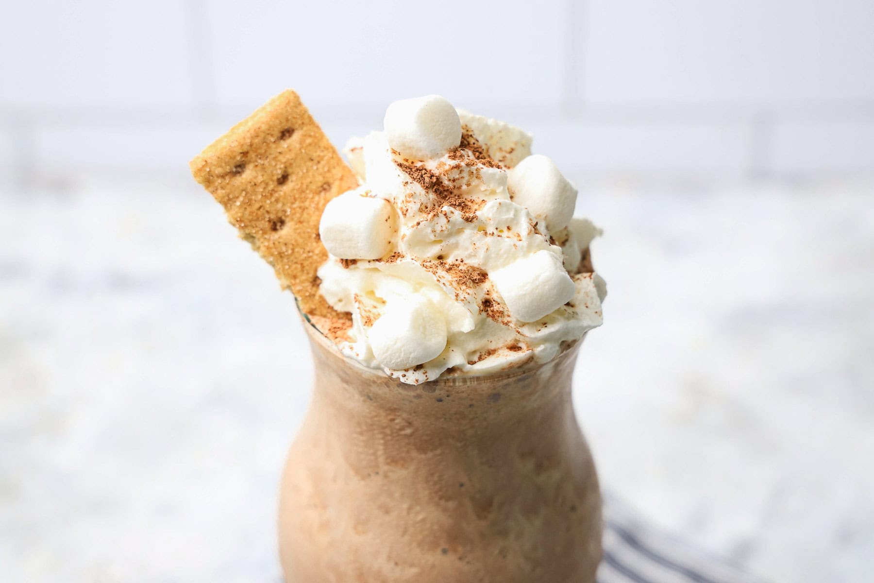 A frosty s'mores milkshake topped with whipped cream, marshmallows, cocoa powder, and a graham cracker.