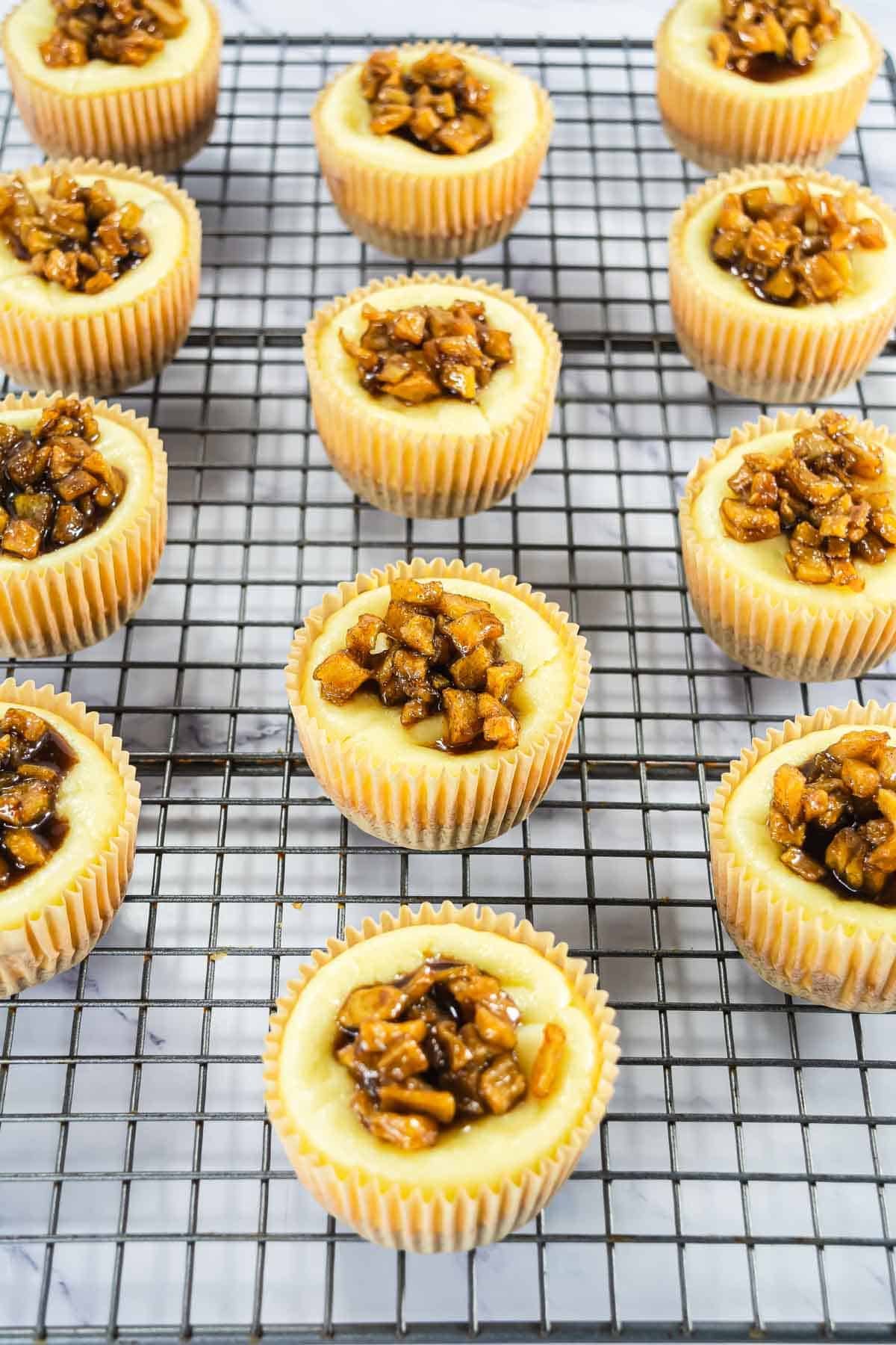 Mini cheesecakes topped with caramelized nut mixture on a cooling rack.