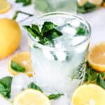 A glass of iced lemon mint water, perfect as a refreshing Lemon Mojito mocktail, surrounded by lemon slices and fresh mint leaves.
