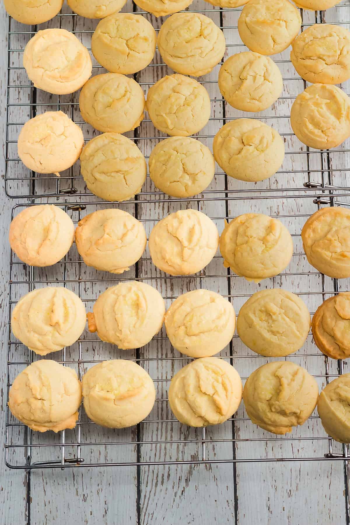 Rows of golden, round Amish cookies cooling on wire racks over a rustic white wooden surface.