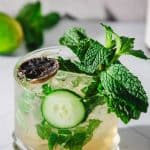 A cocktail with ice, mint leaves, cucumber slice, and a dried lime garnish in a clear glass.