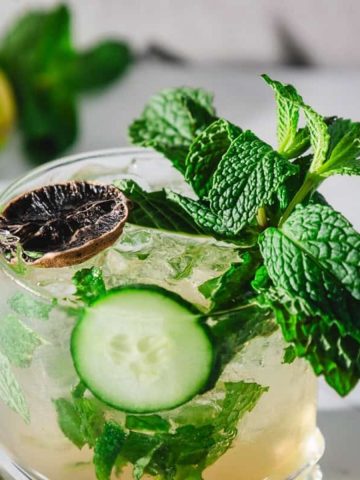 A cocktail with ice, mint leaves, cucumber slice, and a dried lime garnish in a clear glass.