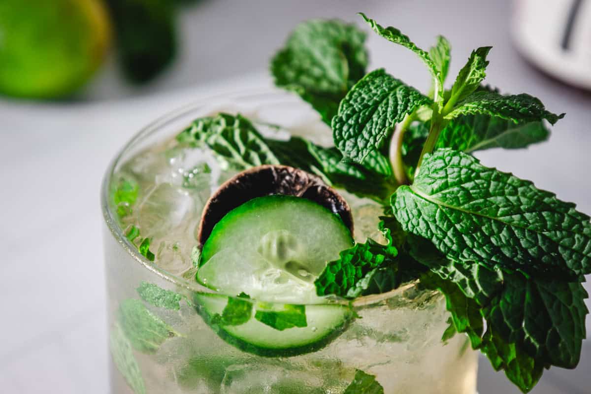 A close-up of a cocktail with ice, mint leaves, and a cucumber slice as garnish&mdash;an inviting presentation perfect for a refreshing virgin mint julep recipe.